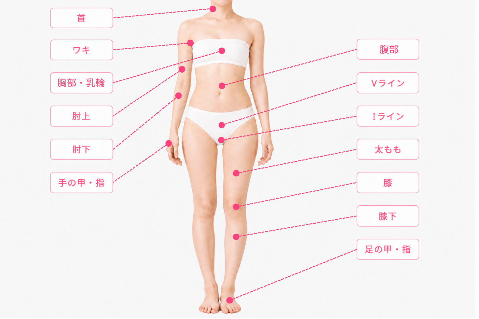 女性・身体
