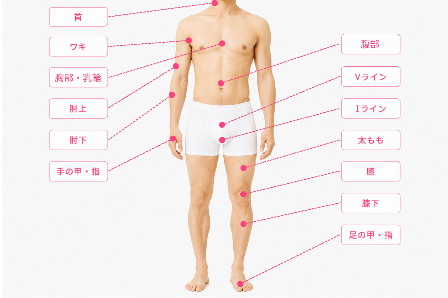 男性・身体