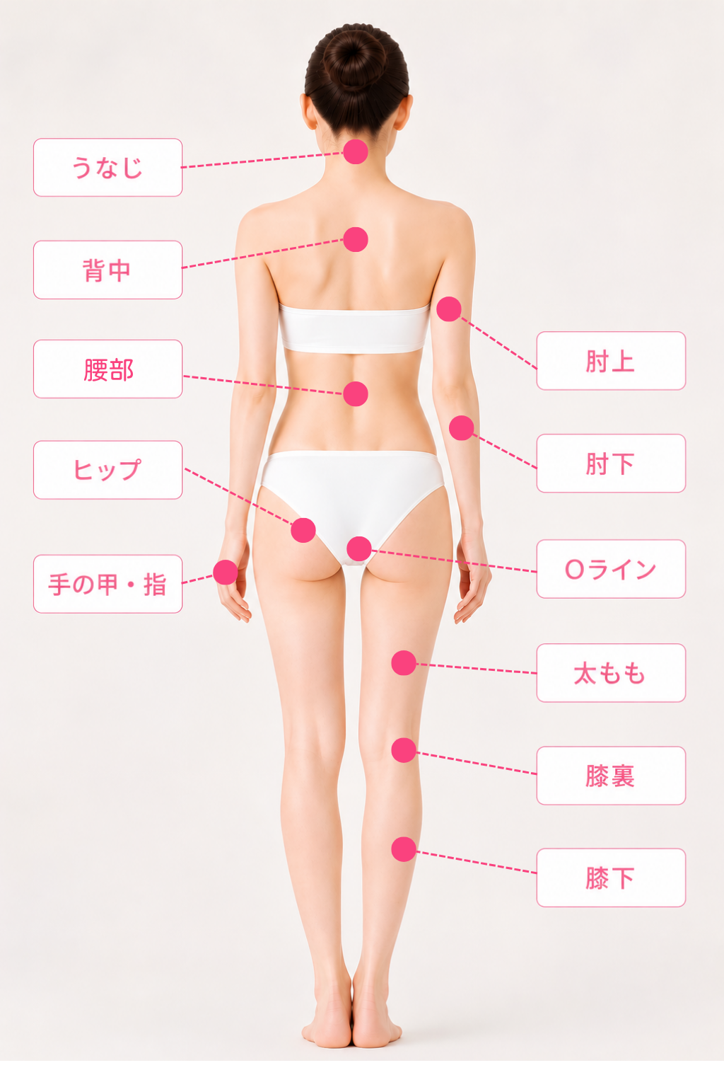女性・背面