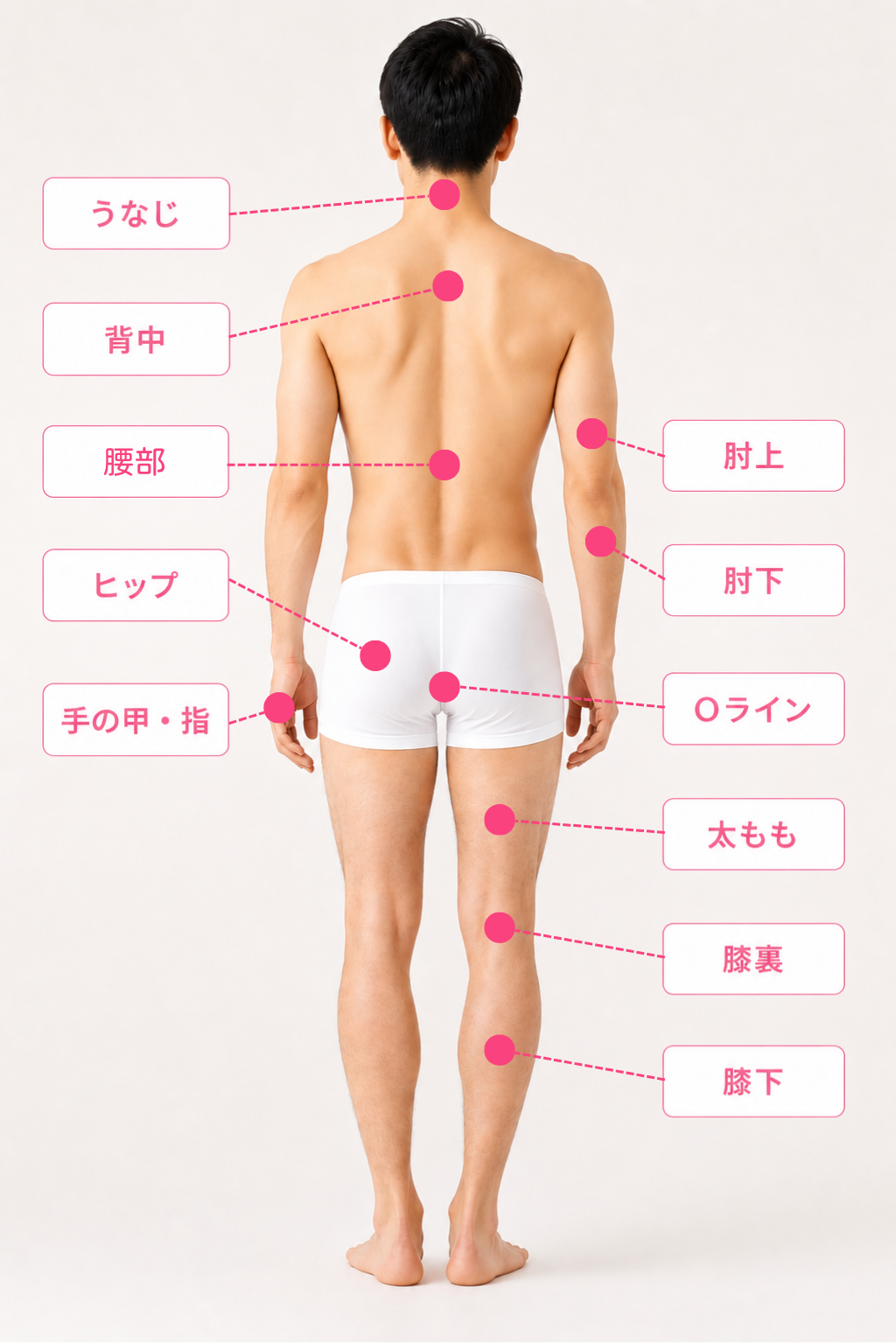 男性・背面